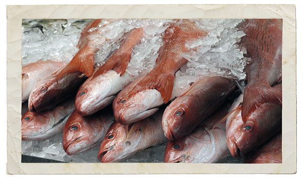 joepattis-frnt-page-seafood-whole-fish-dressing-01