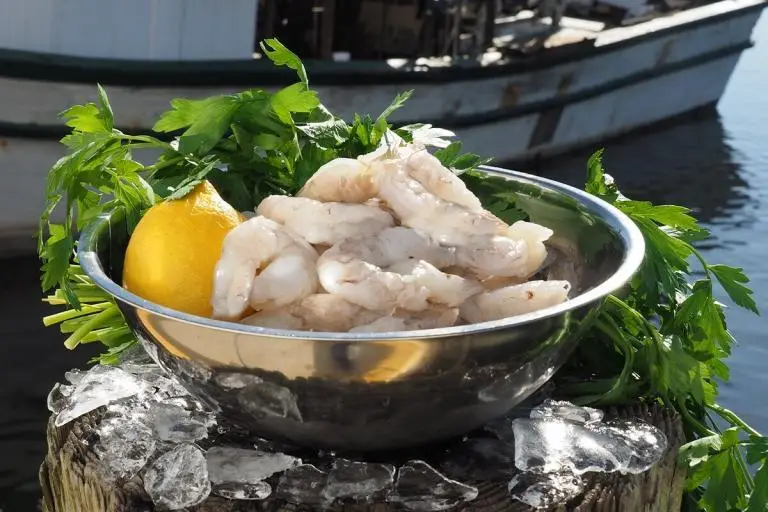 Product-photos-01_2025-02