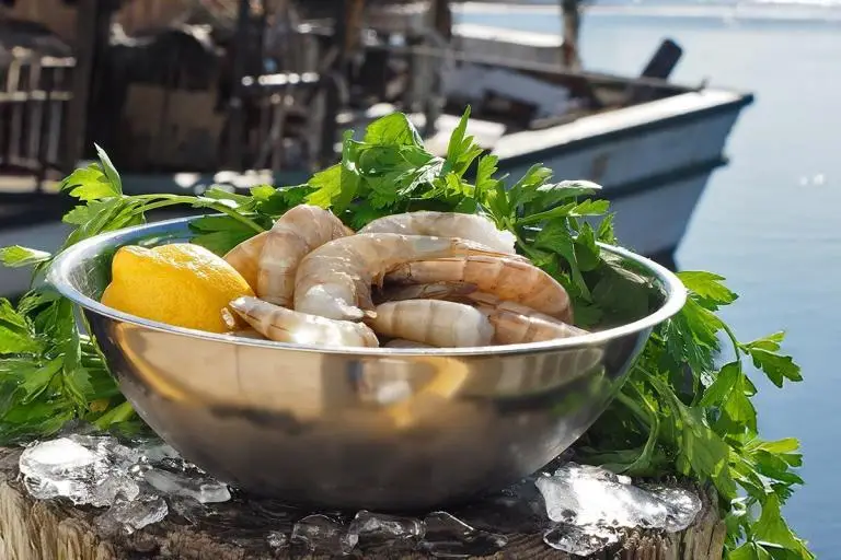 Product-photos-16_20-domestic-headless-01