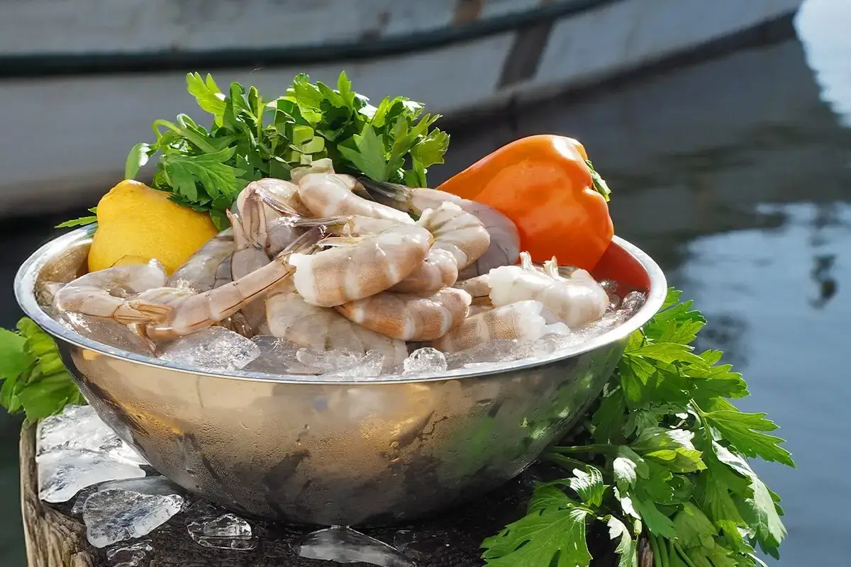 31/35 Domestic Headless