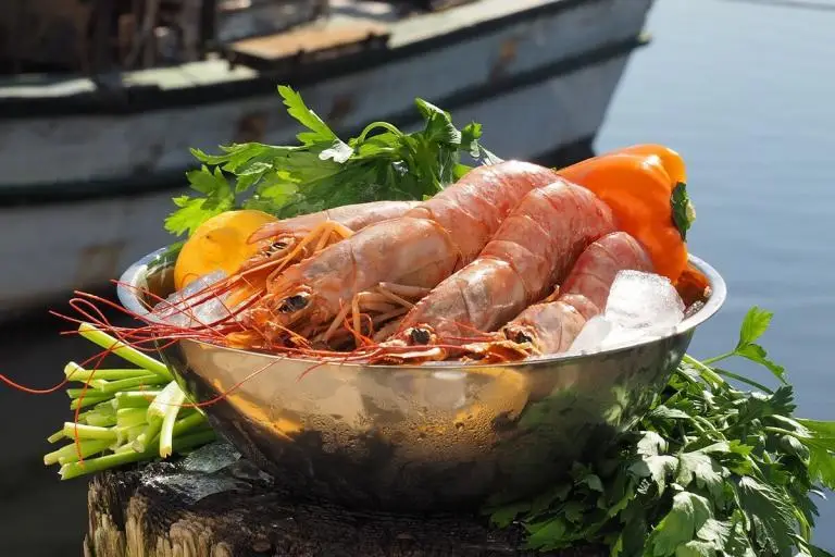 Product-photos-6_8-Royal-Red-HeadOn-01a