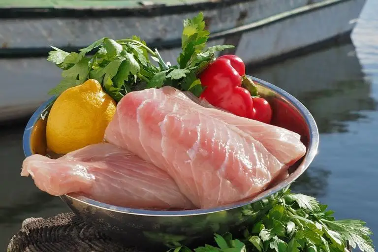 Product-photos-amberjack-01