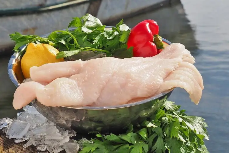 Product-photos-catfish-02