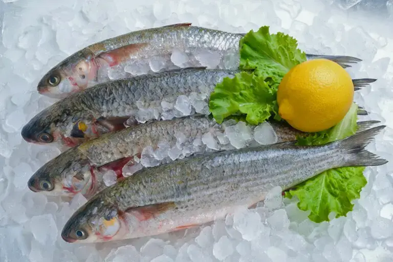 Product-photos-seafood-mullet-whole-fish-01