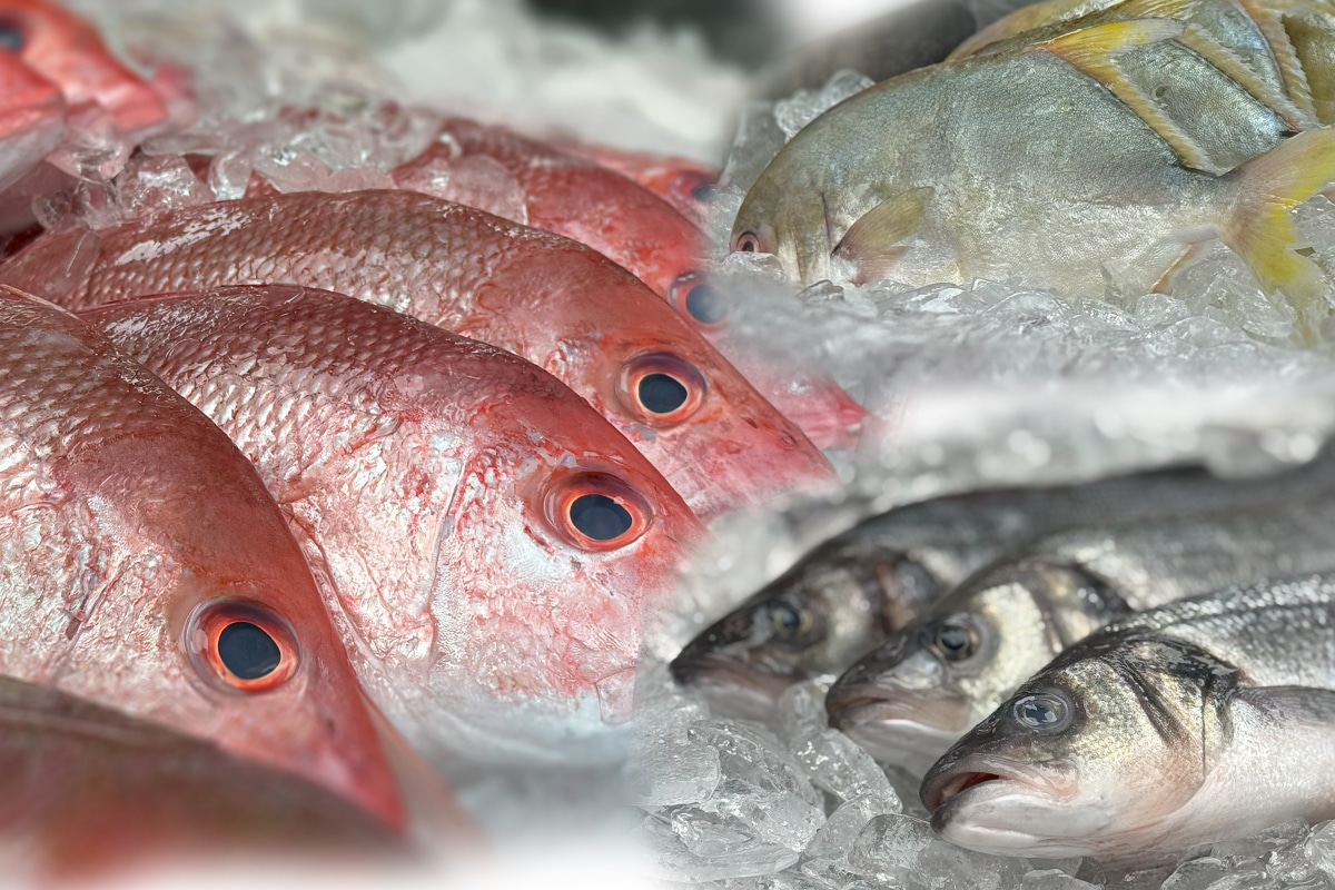 Whole Fish