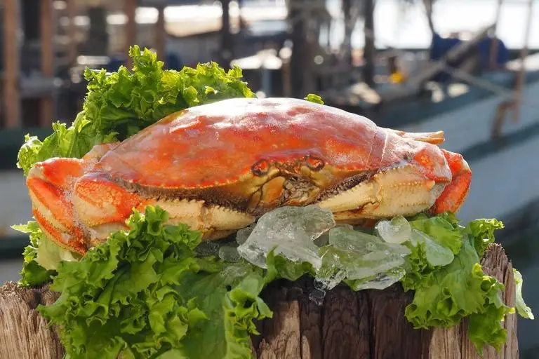Joe-Pattis-Product-photos-Dungeness-Crab-01