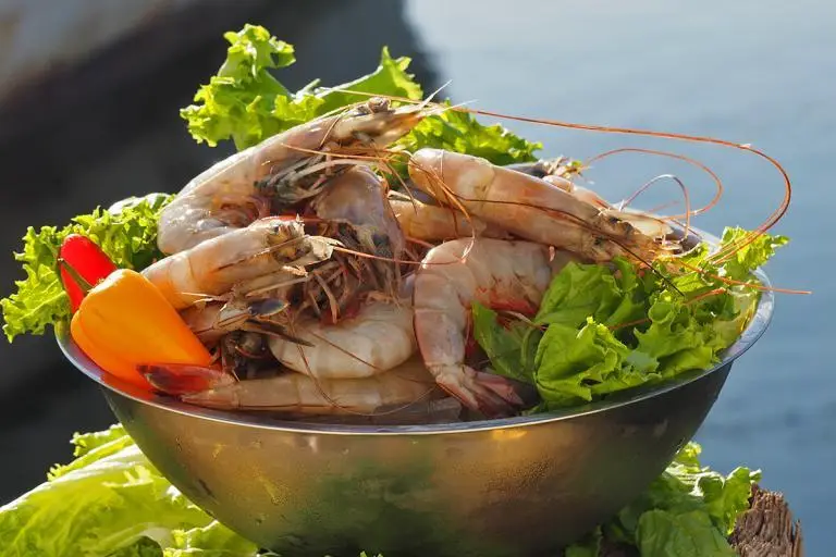 Product-photos-Shrimp-jumbo-Head-on-01