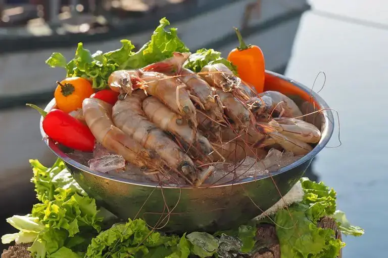 Product-photos-Shrimp-jumbo-Head-on-01