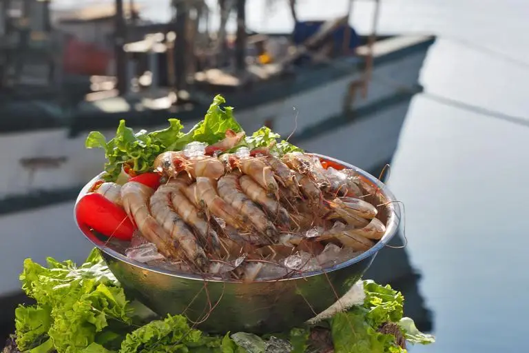 Product-photos-Shrimp-medium-Head-on-01