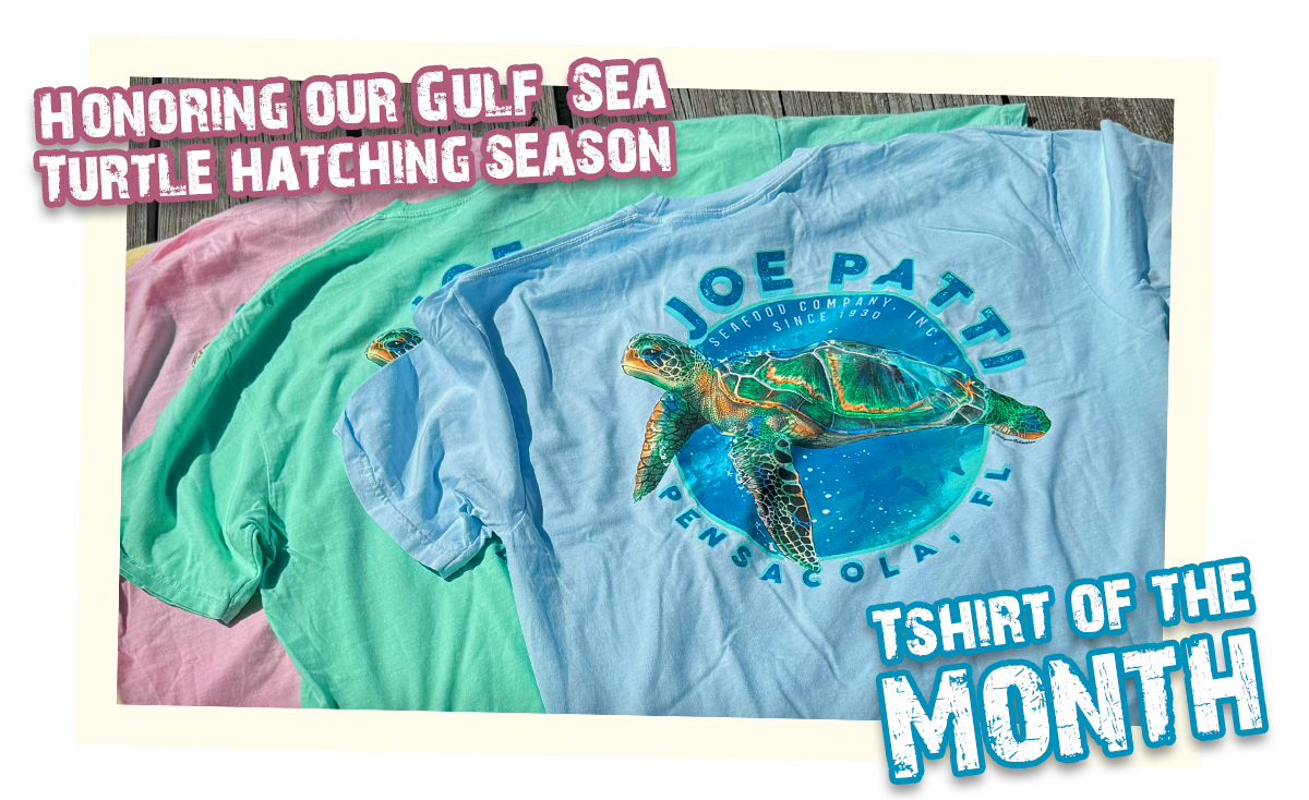 JP-gear-tshirt-of-the-month-sea-turtle-01