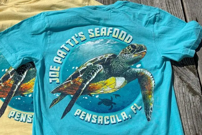 Product-photos-Gear-Tshirts_turtle-2-teal-blue-03