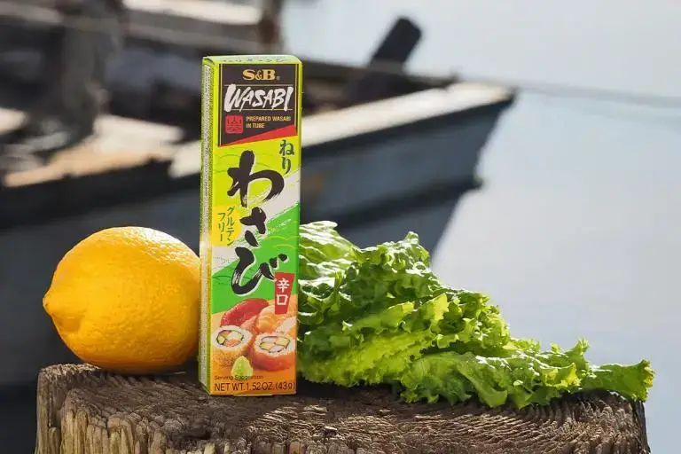 Product-photos-sauces-seasoning-asian-S-and-B-Wasabi-Tube
