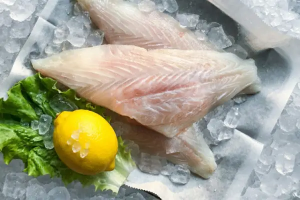 Filefish Recipe Unicorn Filefish – Joe Pattis